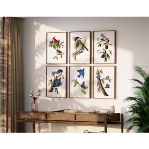 Beautifully Restored Vintage Bird Prints - Birds of Tennessee.  Unique Wall Decor for Nature Lovers.    Set of 6 Bird Wall Art Prints.