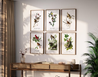 Beautifully Restored Vintage Audubon Bird Prints - Unique Wall Decor for Nature Lovers.  BIRDS OF VIRGINIA.  Set of 6 Bird Wall Art Prints.