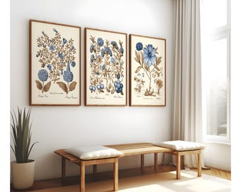 May include: Three framed botanical prints with blue and brown floral illustrations hang above a wooden bench with white cushions. A tall potted plant stands to the left, and a window with white curtains is on the right.
