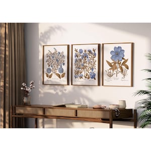 Floral Art Prints.  Sepia and Blue Botanical Print Set.  Set of Three Prints.  Five Print Sizes.  Giclee Fine Art Printing.  Ready to Frame