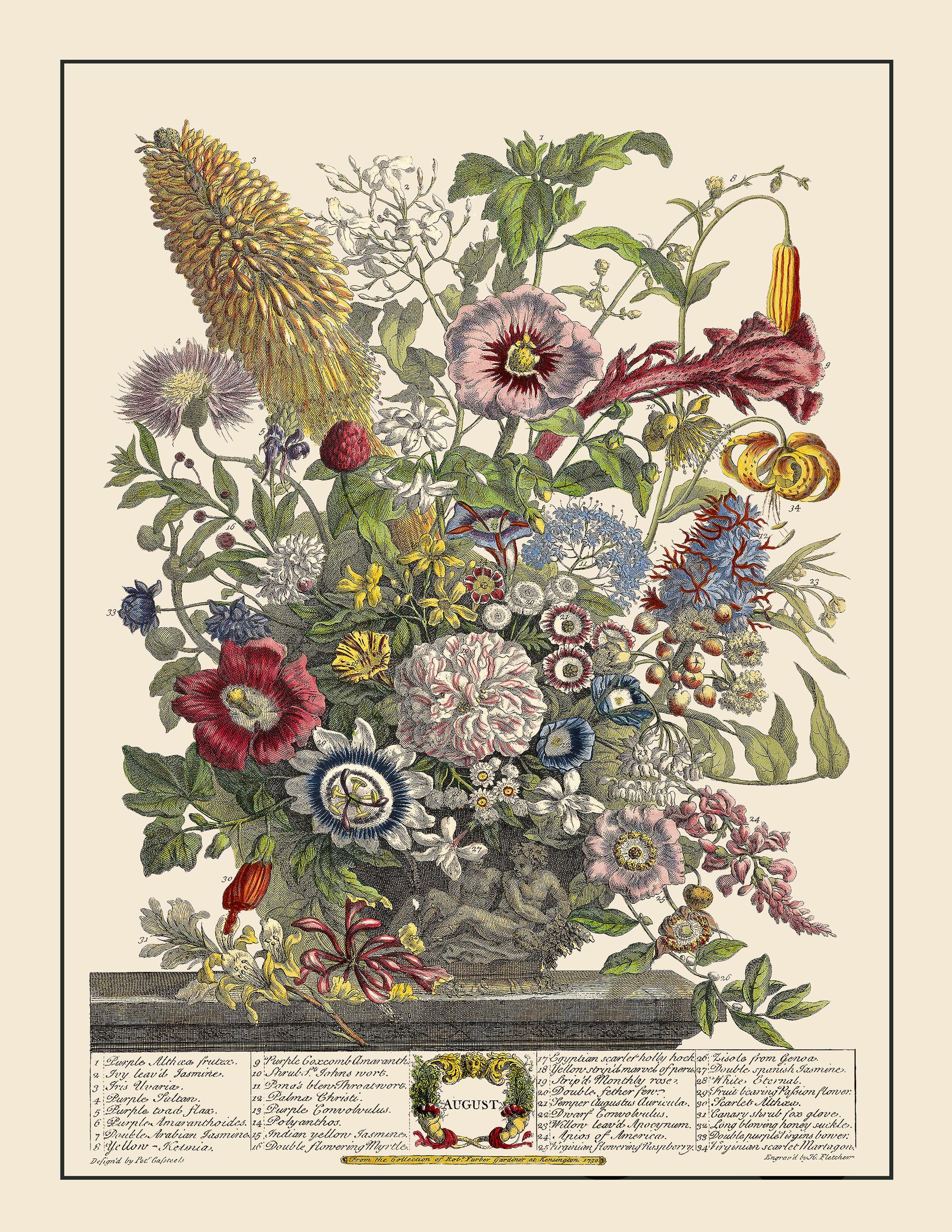 Robert Furber Floral Art Prints - Restored Vintage Flower
