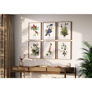 Beautifully Restored Vintage Audubon Bird Prints - Unique Wall Decor for Nature Lovers.  BIRDS OF MISSISSIPPI.  Set of 6 Bird Art Prints.