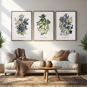 K&ouml;nnte beinhalten: Drei gerahmte botanische Drucke mit blauen Blumen und gr&uuml;nen Bl&auml;ttern. Die Drucke haben einen wei&szlig;en Hintergrund und den Text "Les Fleurs de Jardin" unten.