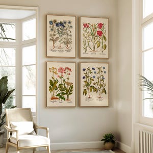 Flowering Plants Art - Four Prints. Restored Vintage Illustrations. Buttercream Beige or Warm White Background. Giclee Fine Art Printing.
