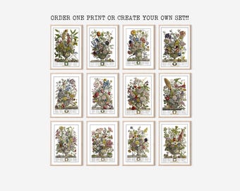 Robert Furber Floral Art Prints - Select Your Prints!  Enter Selections in Personalization.