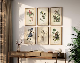 Peut inclure: Six cadres de style vintage affichant des illustrations d'oiseaux sur un mur blanc. Chaque impression présente une illustration d'oiseau différente avec des éléments botaniques, sur fond crème. Les cadres sont bruns chauds, rappelant l'art botanique ancien.
