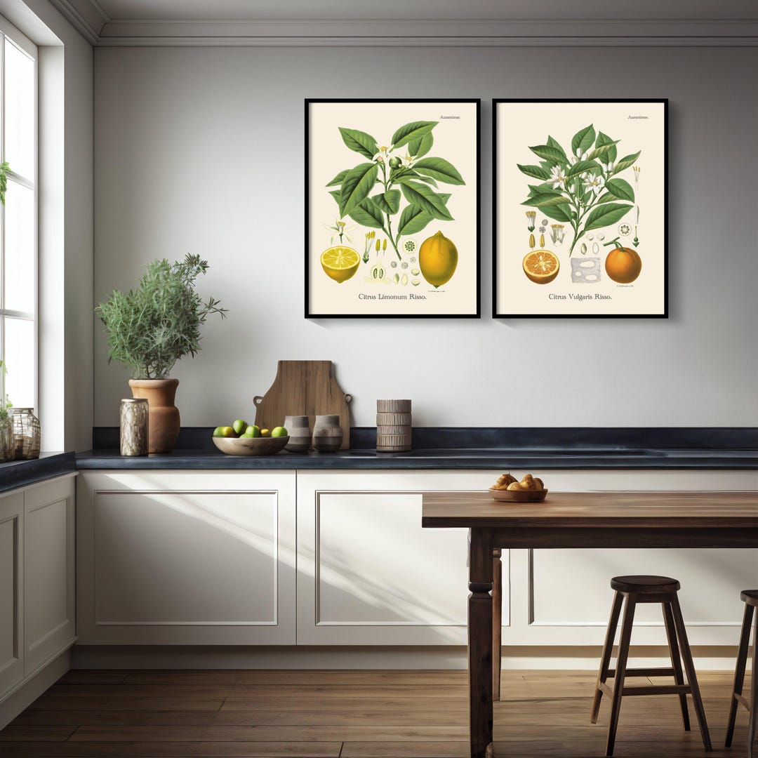 kitchen gallery wall art set of 6, vintage fruit... Kitchen Fruit Print Set - Restored Vintage Botanical Art - Etsy