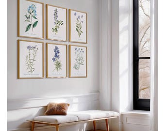 Blue Flower Art Prints - Set of Six Vintage Botanical Illustrations