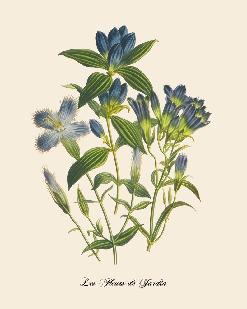 Restored Floral Art Prints - Set of Three - Giclée Quality Bild 3
