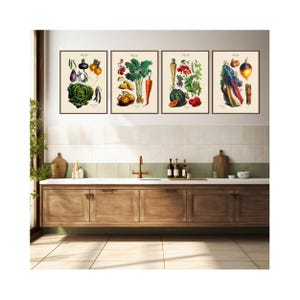Vegetable Prints.  Kitchen Wall Art Print Set.  Available in Four Print Sizes. Two Background Choices.  Giclee Fine Art Printing.