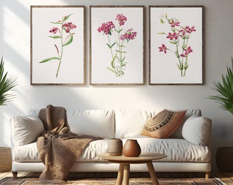 Wildflower Art Print Set of Three - Restored Vintage Botanical Illustrations