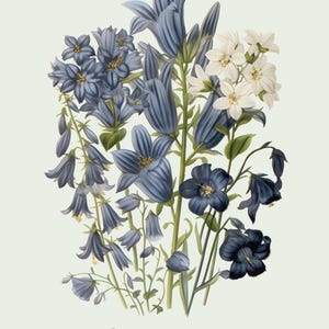 Restored Floral Art Prints - Set of Three - Giclée Quality Bild 12