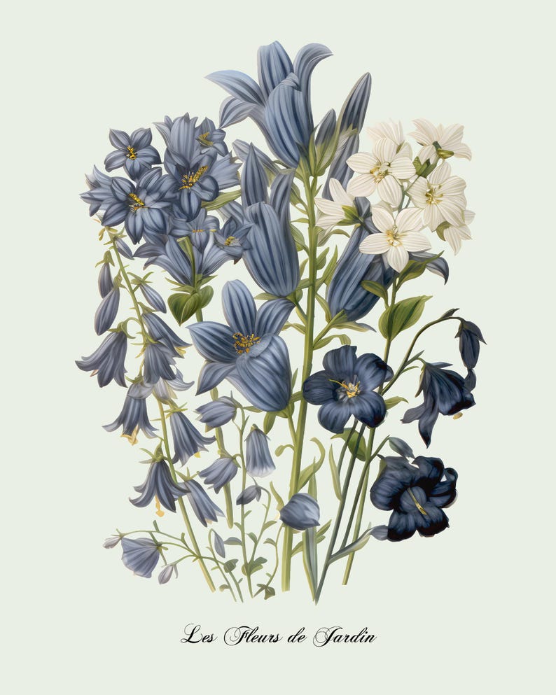Restored Floral Art Prints - Set of Three - Giclée Quality Bild 12