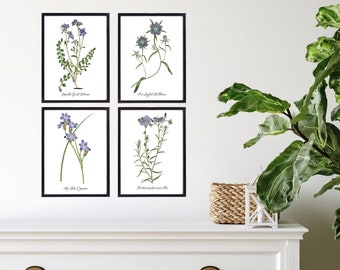 FLORAL ART PRINTS.  Set of Four Restored Blue Flower Illustrations.  Four Print Sizes Available. Fine Art or Canvas Texture Papers.