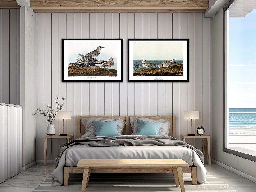 Audubon Coastal Birds. Set of Two Restored Bird Wall Art Prints. 24"x16 ...