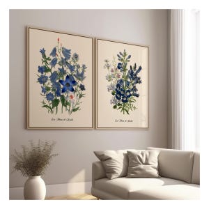 Floral Art Prints. Set of 2 Blue Flower Illustrations. Warm White or Buttercream Beige Background. Vintage Restored. Giclee Fine Art Prints.