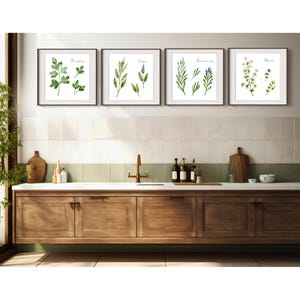 Minimalist Herb Prints Wall Art. Parsley, Sage, Rosemary & Thyme. Set of Four Prints.  Giclee Fine Art Printing.  Ready to Frame.