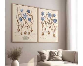 Sepia & Blue Botanical Prints - Set of 2 - Giclée Fine Art