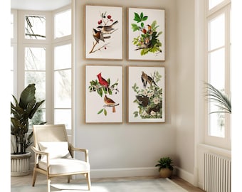Restored Vintage Bird Prints - Birds of America - Set of 4 Giclée Wall Art