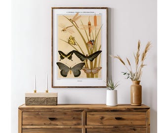 Art Nouveau Print - Papillons, L'Animal dans La Decorations - Maurice Verneuil