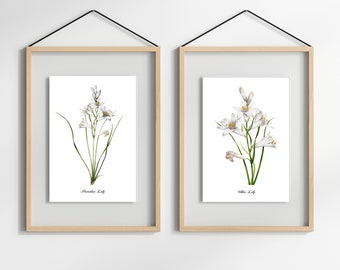 FLORAL ART PRINTS.  White Lilies.  Set of Two Prints.  Vintage Restored.  Three Print Sizes. Fine Art or Canvas Texture Papers.