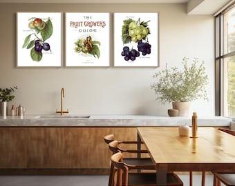 Vintage Fruit Wall Art Prints - Restored Kitchen Decor, Set of 3