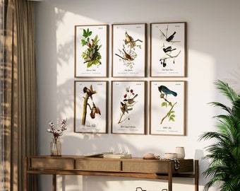 Beautifully Restored Vintage Audubon Bird Prints - Unique Wall Decor for Nature Lovers.  BIRDS OF OREGON.  Set of 6 Bird Wall Art Prints.