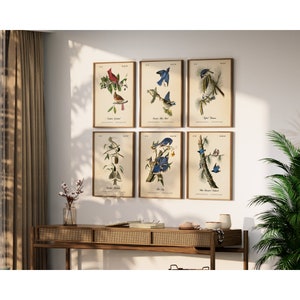 Beautiful Vintage Audubon Bird Prints - Unique Wall Decor for Nature Lovers.  BIRDS OF TENNESSEE.  Set of 6 Bird Wall Art Prints.