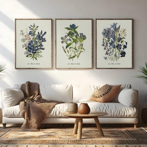 Restored Floral Art Prints - Set of Three - Giclée Quality SAGE GREEN