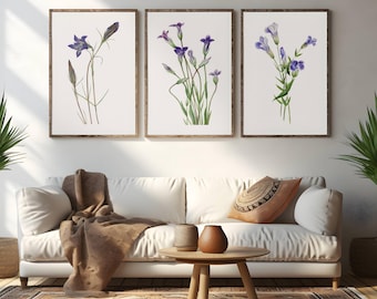 Wildflower Art Print Set of Three - Restored Vintage Botanical Illustrations