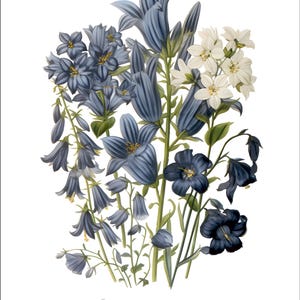 K&ouml;nnte beinhalten: Eine Vintage-botanische Illustration mit einem Strau&szlig; blauer und wei&szlig;er Blumen. Die Blumen sind in einer Vase arrangiert und der Text "Les Fleurs de Jardin" steht unter dem Strau&szlig;.