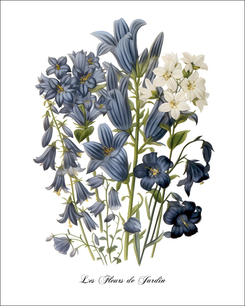 K&ouml;nnte beinhalten: Eine Vintage-botanische Illustration mit einem Strau&szlig; blauer und wei&szlig;er Blumen. Die Blumen sind in einer Vase arrangiert und der Text "Les Fleurs de Jardin" steht unter dem Strau&szlig;.