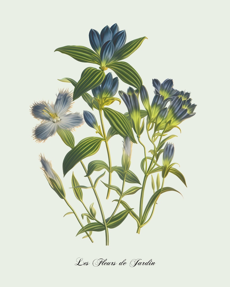 Restored Floral Art Prints - Set of Three - Giclée Quality Bild 11