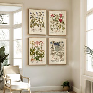 Op de afbeelding: Vier ingelijste botanische prenten met gedetailleerde illustraties van verschillende bloeiende planten. De prenten tonen een reeks kleuren, waaronder rood, blauw en roze, met wetenschappelijke labels. De frames hebben een warme, natuurlijke houttint.