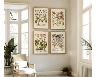 May include: A set of four rectangular framed wall art prints featuring detailed botanical illustrations of various flowers and plants with green stems, leaves, and colorful blossoms in shades of blue, red, pink, and yellow on a cream background.