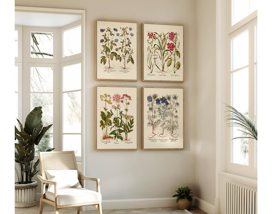 Botanical Wall Art - Restored Vintage Illustrations - Restored Flowering Plants Giclee Art