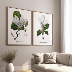 Floral Art Prints.  Magnolias.  Set of Two Prints. Warm White or Buttercream Beige Background.  Choose From Six Print Sizes. Ready to Frame.