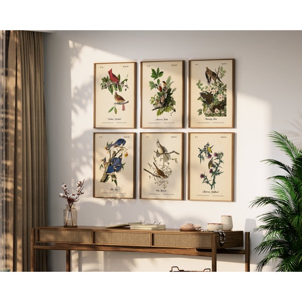 Beautiful Vintage Audubon Bird Prints - Unique Wall Decor for Nature Lovers.  BIRDS OF PENNSYLVANIA.  Set of 6 Bird Wall Art Prints.