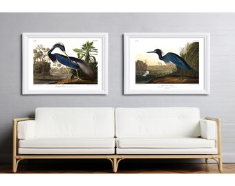 Audubon Heron Print Set - Restored Coastal Bird Art