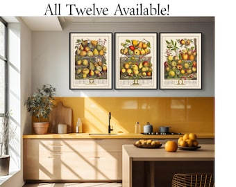 Robert Furber Fruit Art Print Set - Restored Vintage Illustration.  Enter Selections in Personalization.