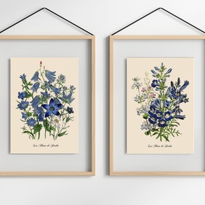 FLORAL ART PRINTS.  Set of Two Blue Flower Illustrations. Warm White or Buttercream Beige Background. Five Print Sizes.