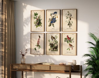 Audubon Prints.  BIRDS OF MARYLAND.  Set of Six Bird Wall Art Prints.  Four Popular Print Sizes Available.  Choose From Two Printing Papers.
