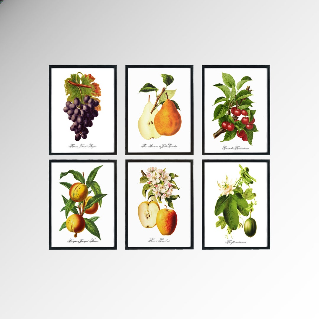 Vintage Fruit Prints. Create Your Own Set of Fine Art Fruit Botanicals