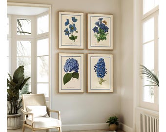 Botanical Wall Art - Blue Flower Art Prints, Set of Four - Restored Vintage Illustrations.