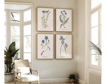 Blue Flower Prints, Set of Four, Vintage Botanical Art