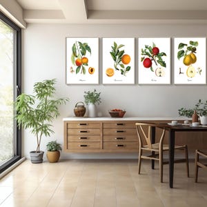Kitchen Wall Art Prints.  Restored Vintage Fruit Illustrations.  Set of Four.  Available in Five Print Sizes. Giclee Fine Art Printing.
