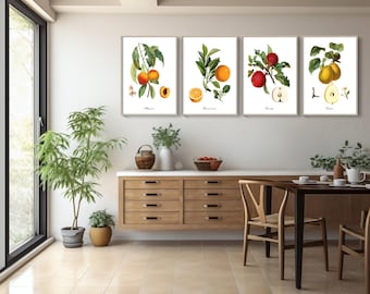 Kitchen Wall Art - Set of 4 Fruit Prints - Restored Vintage Illustrations.