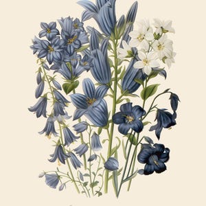 Restored Floral Art Prints - Set of Three - Giclée Quality Bild 4