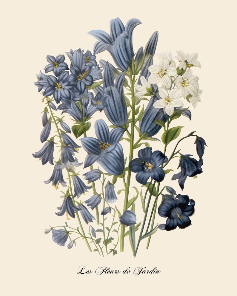 Restored Floral Art Prints - Set of Three - Giclée Quality Bild 4