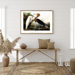 Vintage Bird Print. Large Wall Art.  PURPLE HERON.  Bird Decor. Audubon Bird Print.  Giclee Fine Art Printing.  Vintage Artwork Restored.